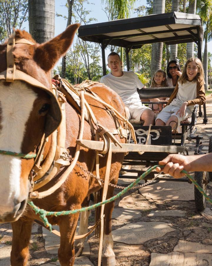 Pousada Dos Pireneus Pirenópolis Esterno foto